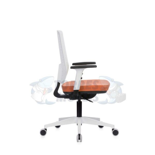 Torres Lance Plastick - Image 4